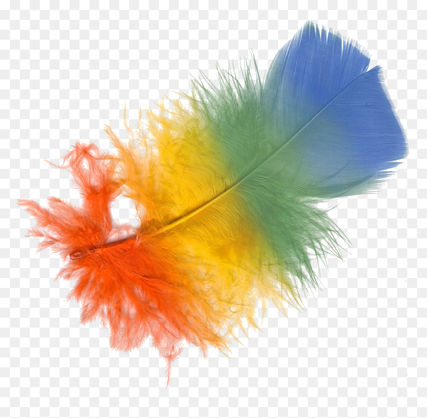 Feathers, HD Png Download - adobe photoshop png