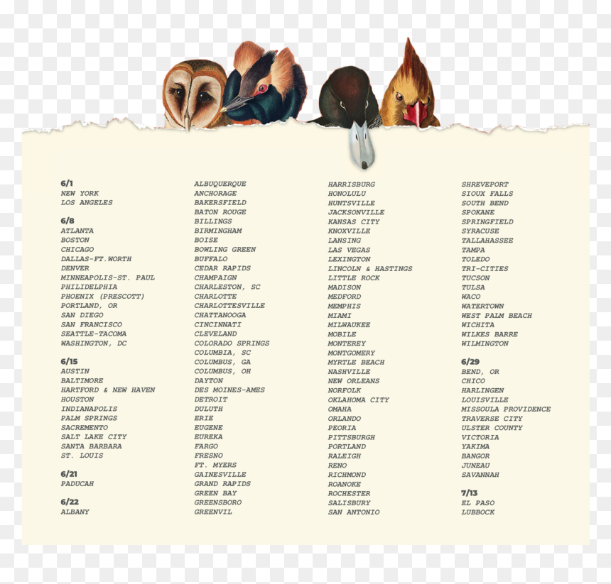 Tan, HD Png Download - mark your calendar png