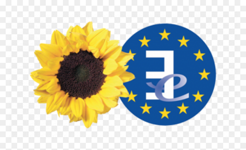 Group Of The Greens European Free Alliance Logo, HD Png Download - e=mc2 png