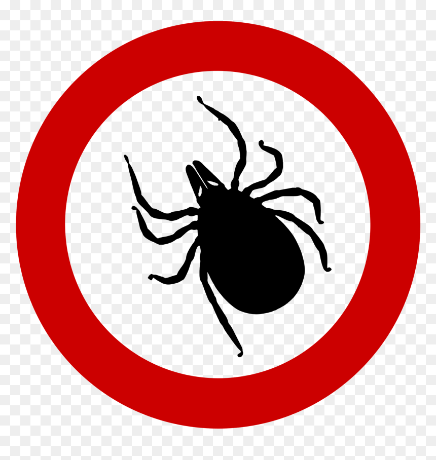 Tick Clipart Silhouette, HD Png Download - white tick png