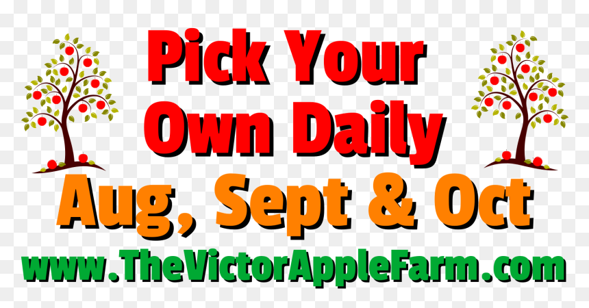 Ripley's Believe It Or Not! Odditorium, HD Png Download - pick art png