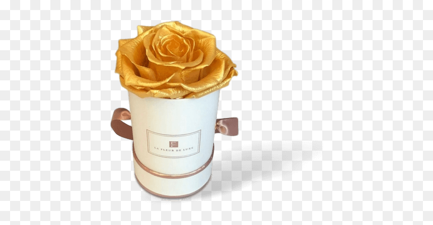 Garden Roses, HD Png Download - valentine single roses png
