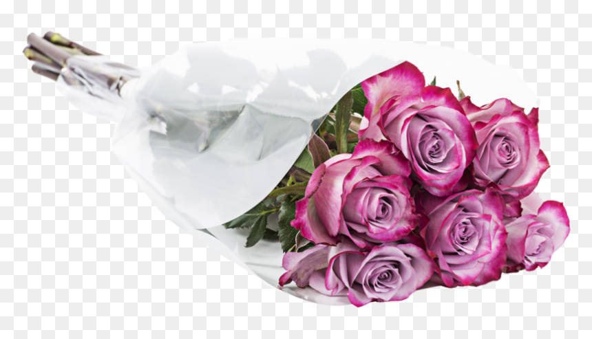 Garden Roses, HD Png Download - valentine single roses png