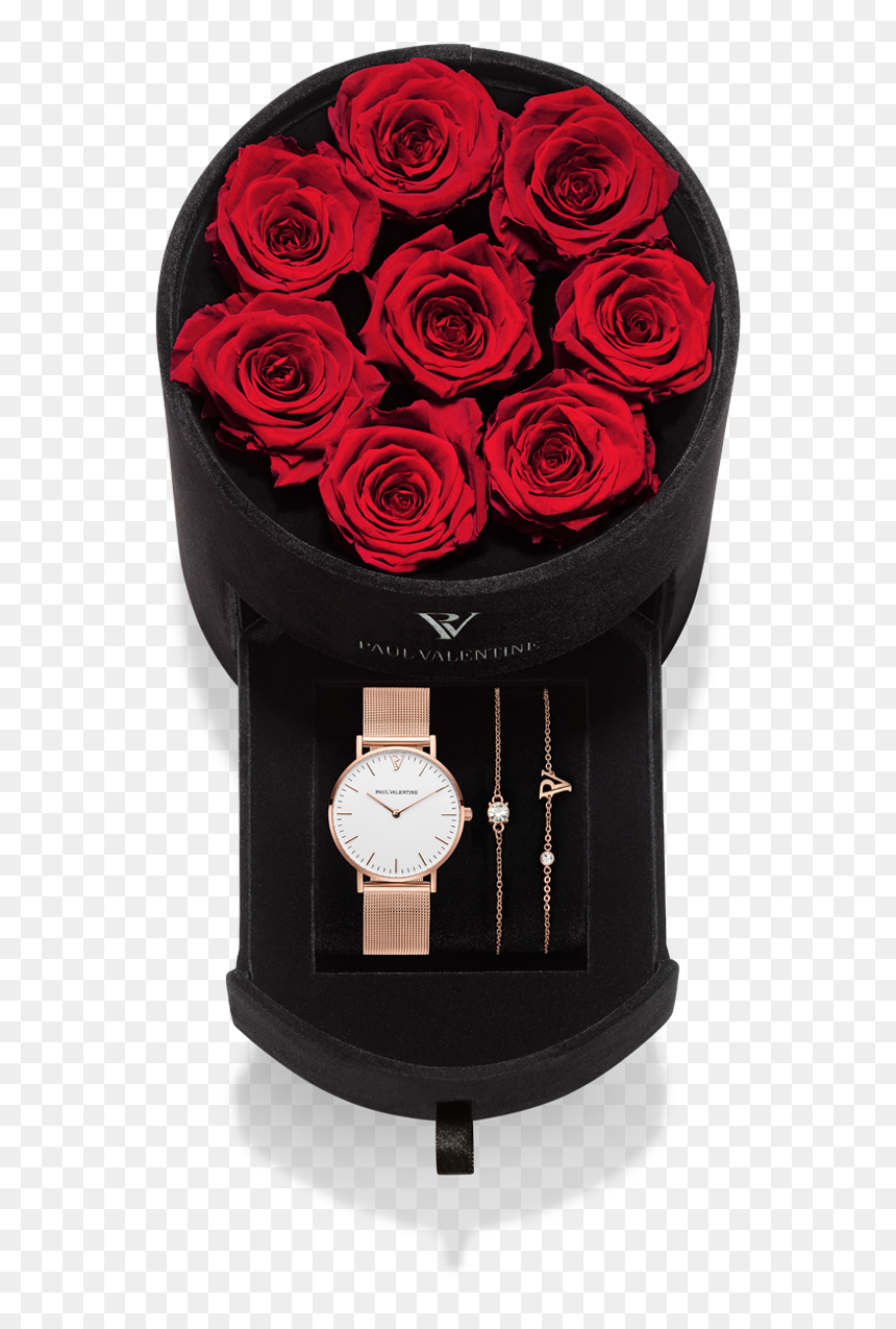 Garden Roses, HD Png Download - valentine single roses png
