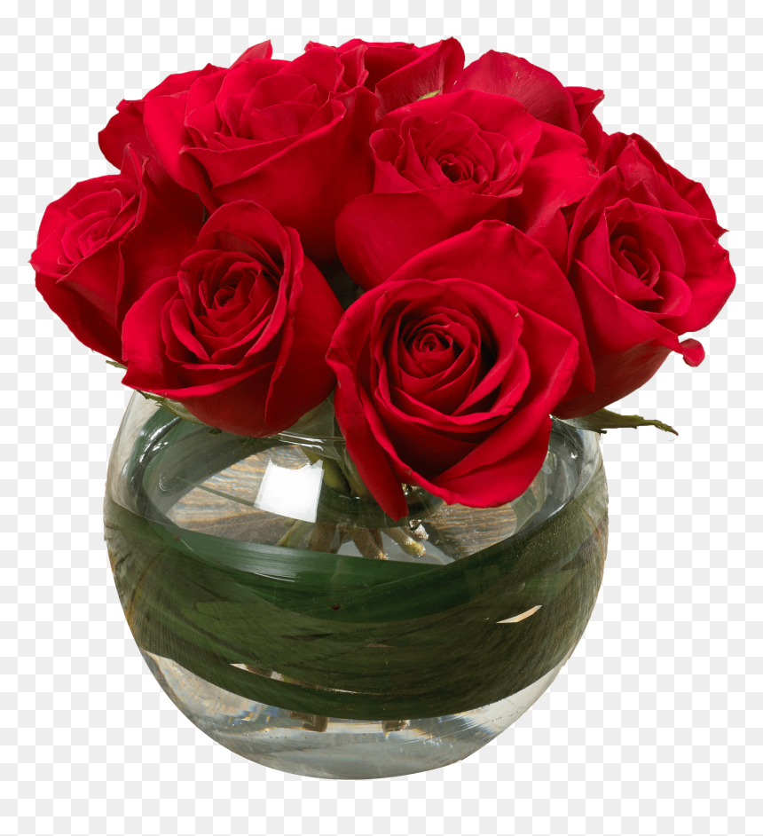 Garden Roses, HD Png Download - valentine single roses png