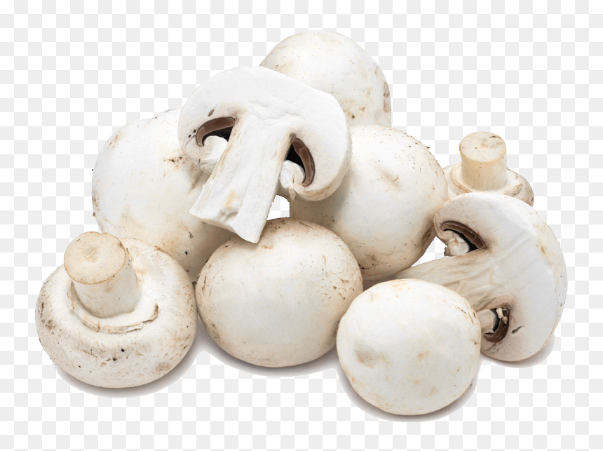 White Mushroom, HD Png Download - button mushroom png