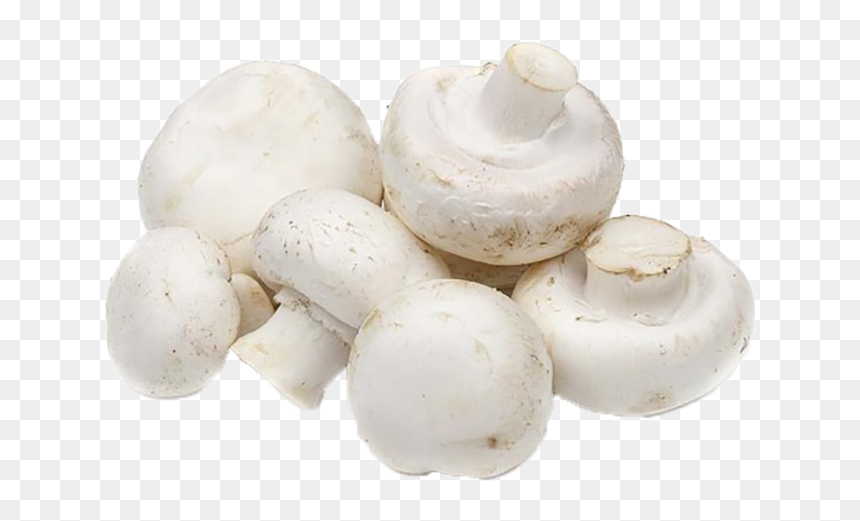 Champignon Mushroom, HD Png Download - button mushroom png
