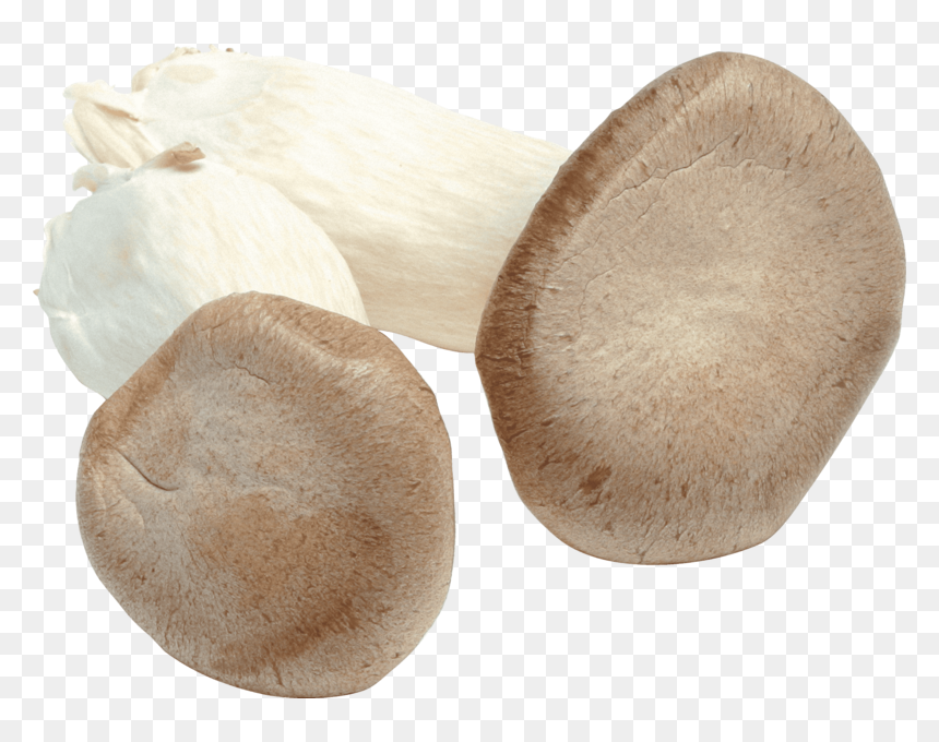 Mushroom, HD Png Download - button mushroom png
