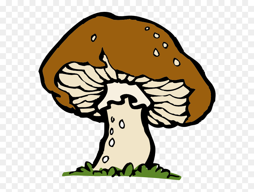 Mushroom Clipart, HD Png Download - button mushroom png