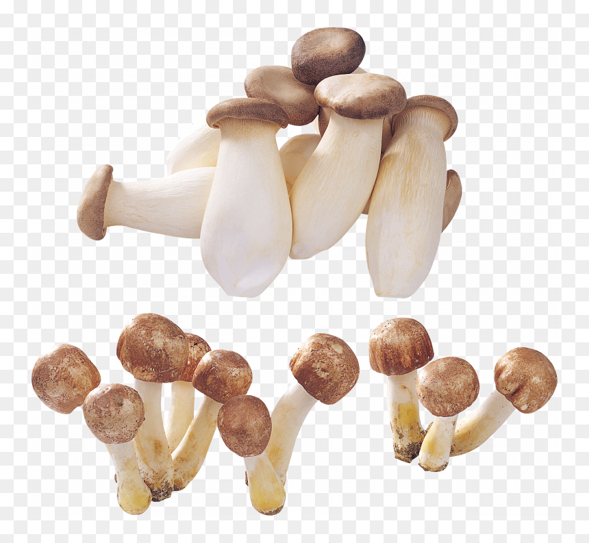 Mushrooms Png, Transparent Png - button mushroom png