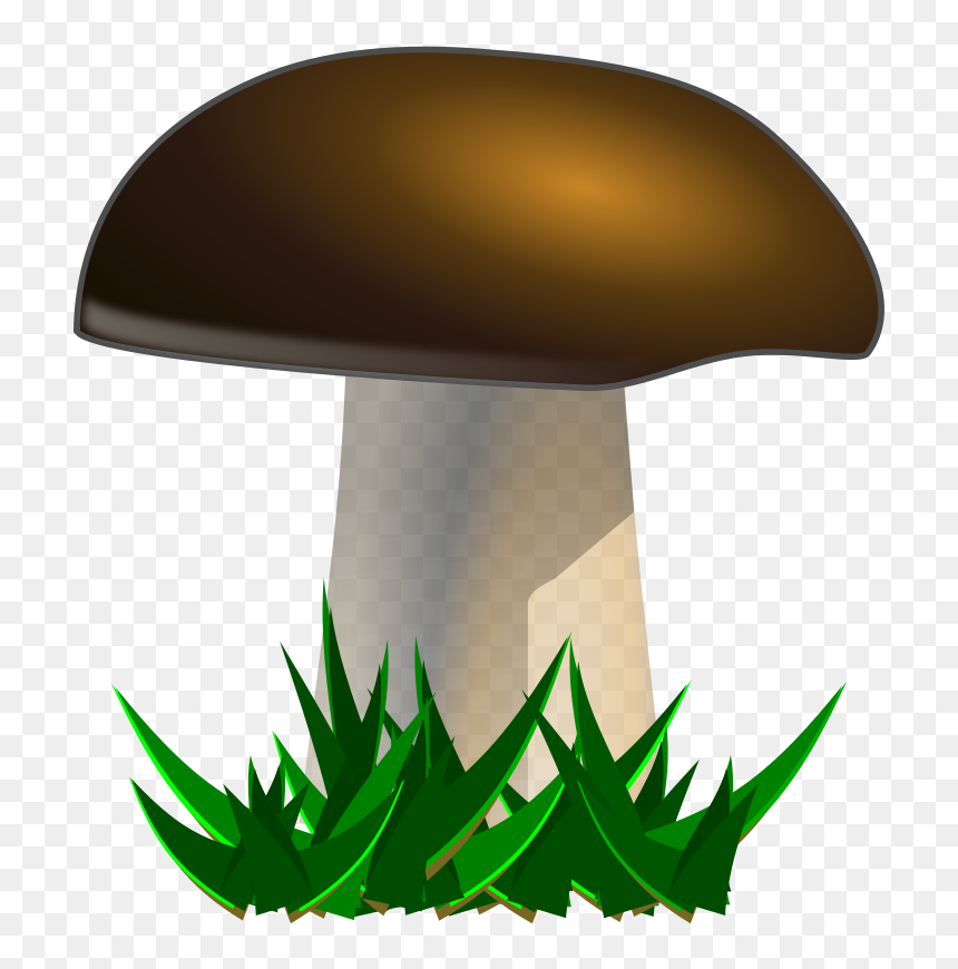 Mushroom Clipart, HD Png Download - button mushroom png