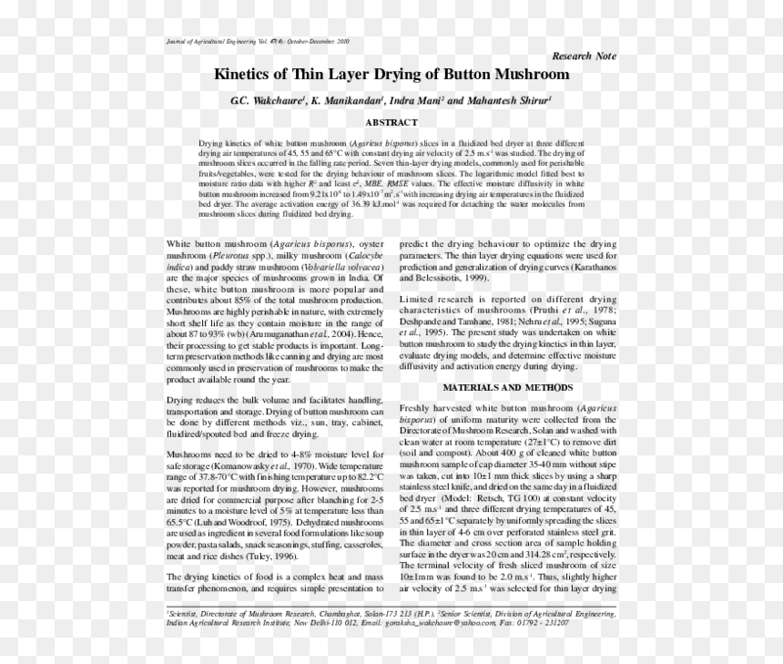 Folio Nine From Burchard Of Sion's De Locis Ac Mirabilibus, HD Png Download - button mushroom png