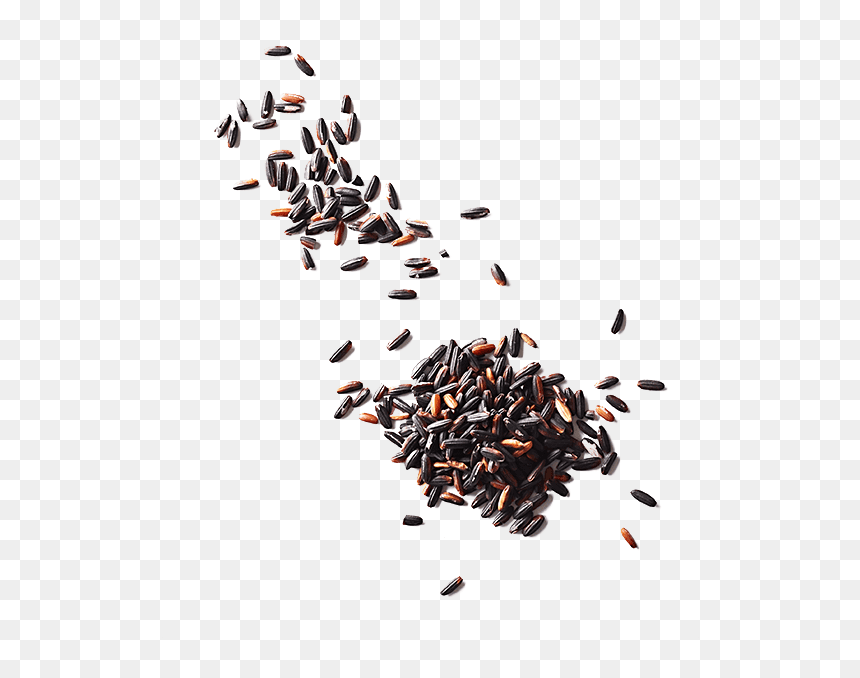 Food, HD Png Download - tri colour png