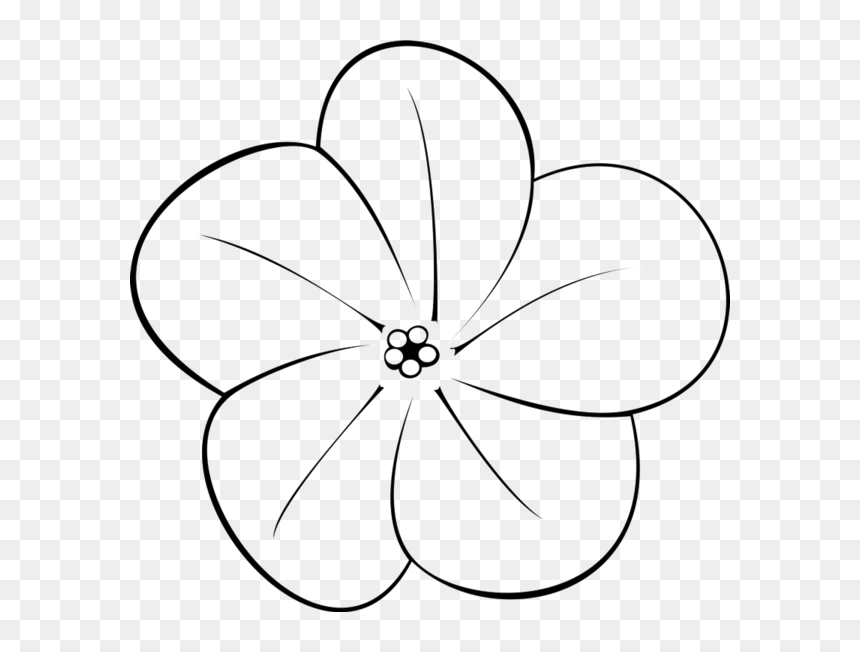 Flowers Art Black And White Plumerias, HD Png Download - plumeria tree png