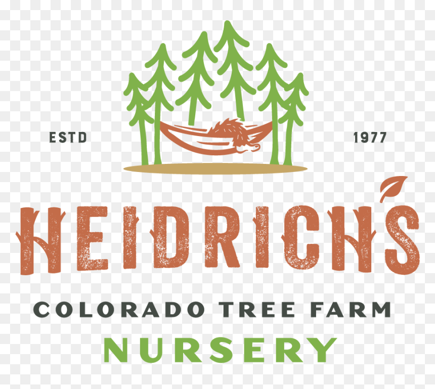 Colorado Tree Farm, HD Png Download - plumeria tree png