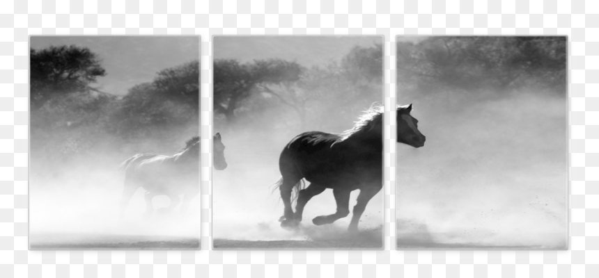Monochrome, HD Png Download - sparkel png