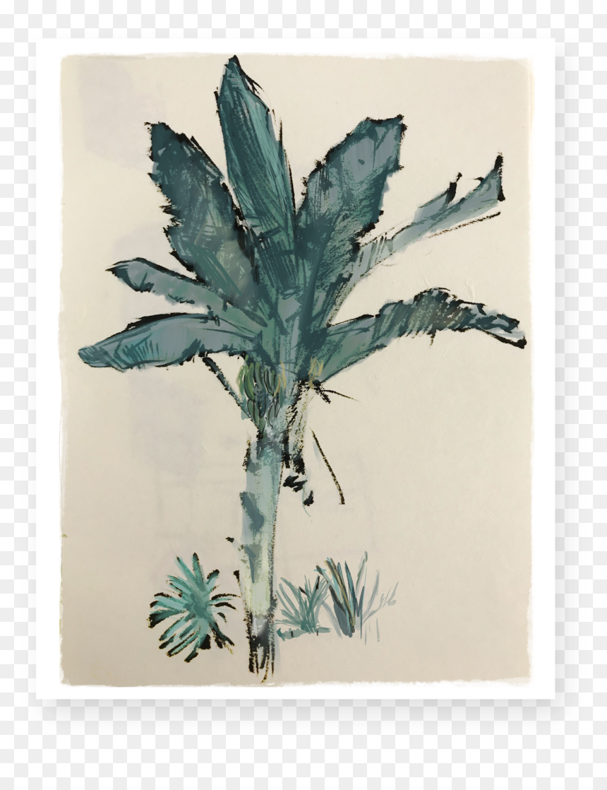 Visual Arts, HD Png Download - banana tree images png