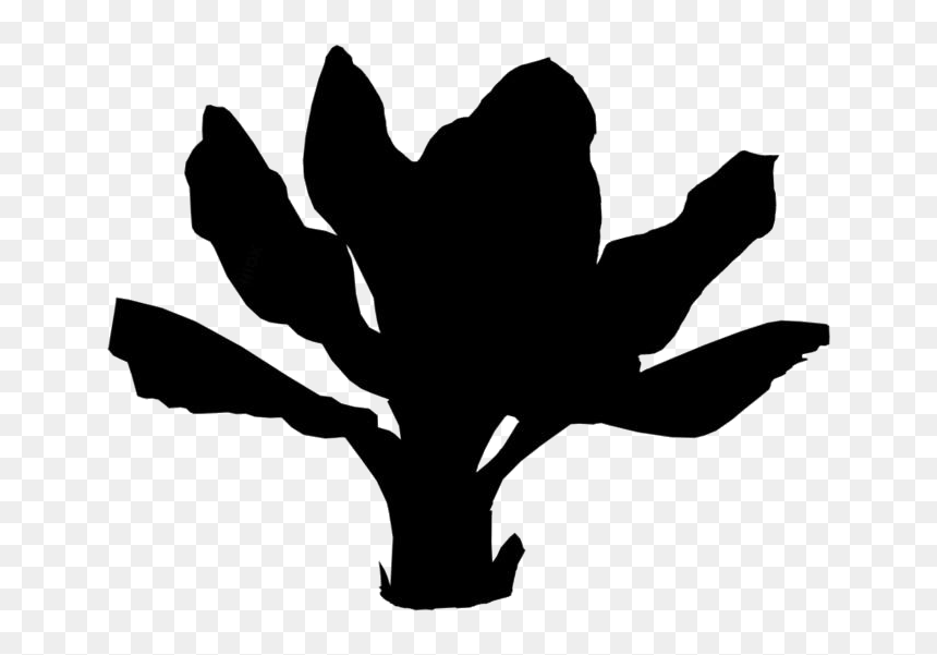 Silhouette, HD Png Download - banana tree images png