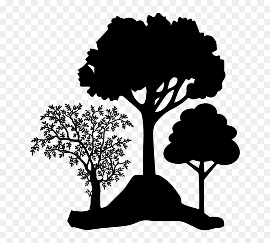 Evolution Of Zip Line, HD Png Download - dry trees png