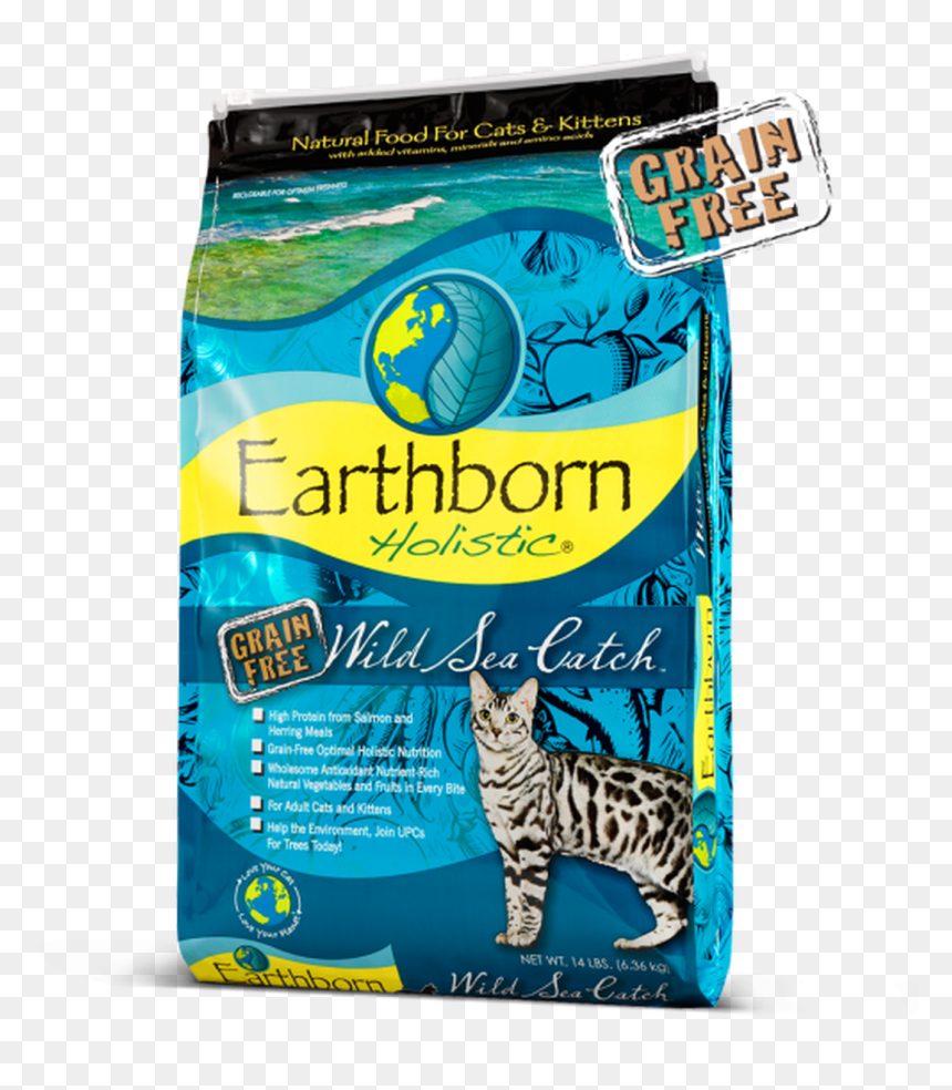 Earthborn Primitive Feline, HD Png Download - dry trees png