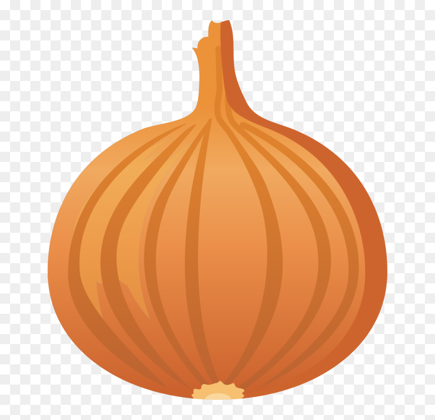 Onion Clipart, HD Png Download - onion vector png