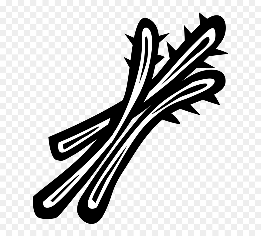 Clip Art, HD Png Download - onion vector png