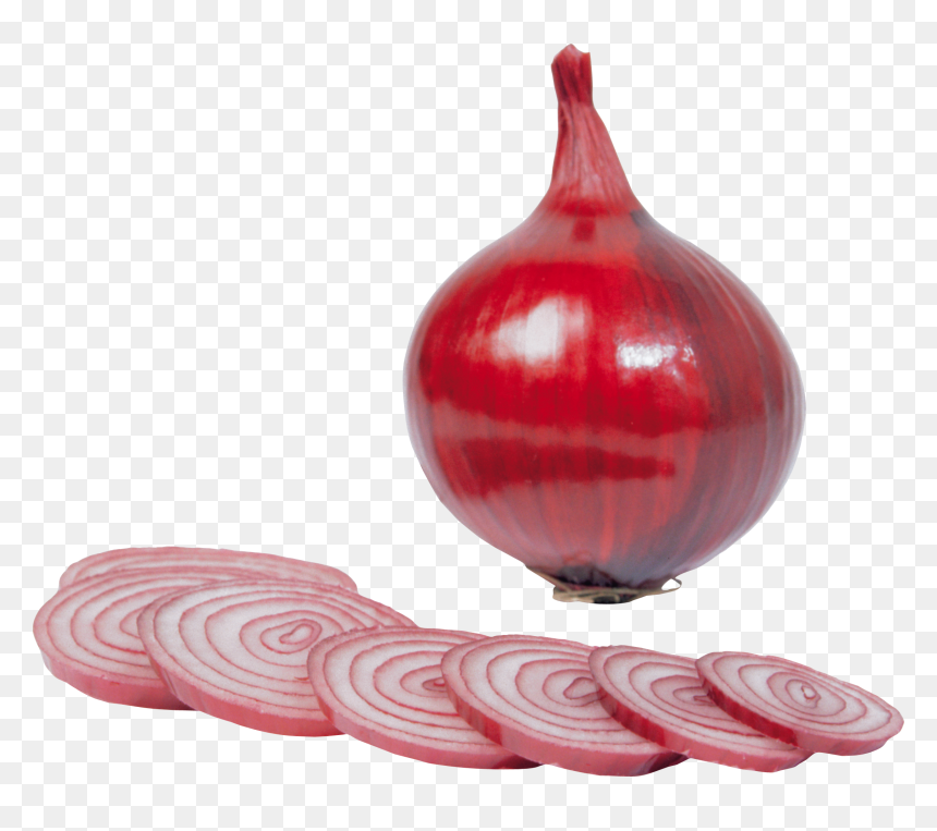 Red Onions Png, Transparent Png - onion vector png