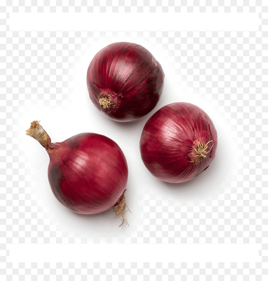 Cebolla Ajos, HD Png Download - onion vector png
