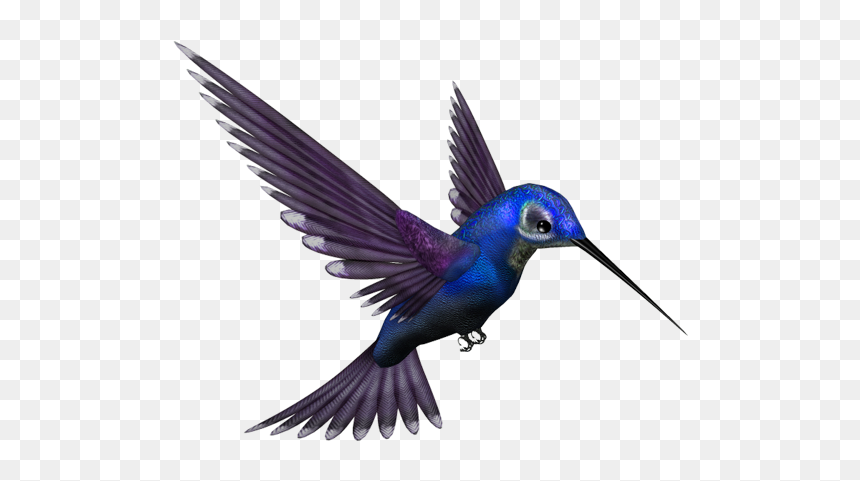Humming Bird, HD Png Download - png all hd