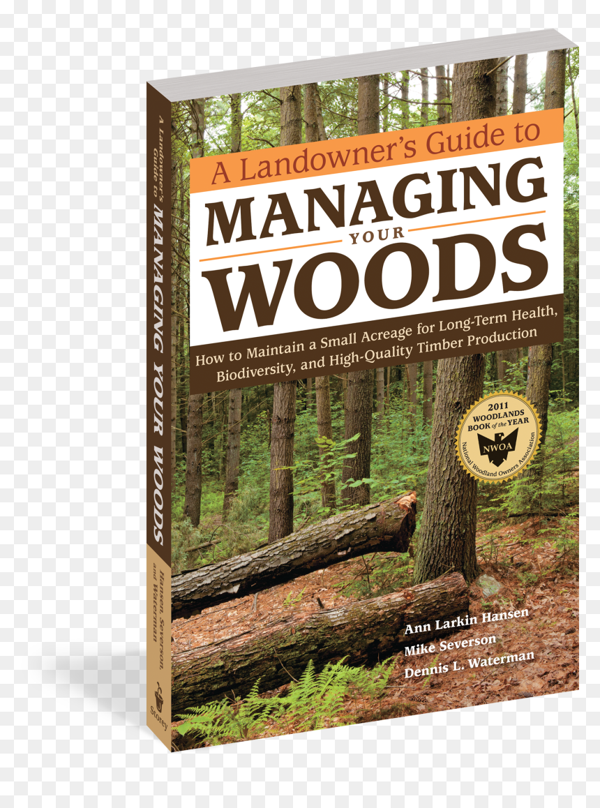 A Landowner's Guide To Managing Your Woods: How To, HD Png Download - brown grass png