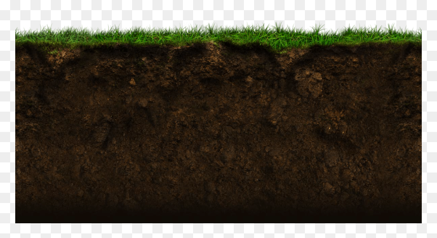 Grass, HD Png Download - brown grass png