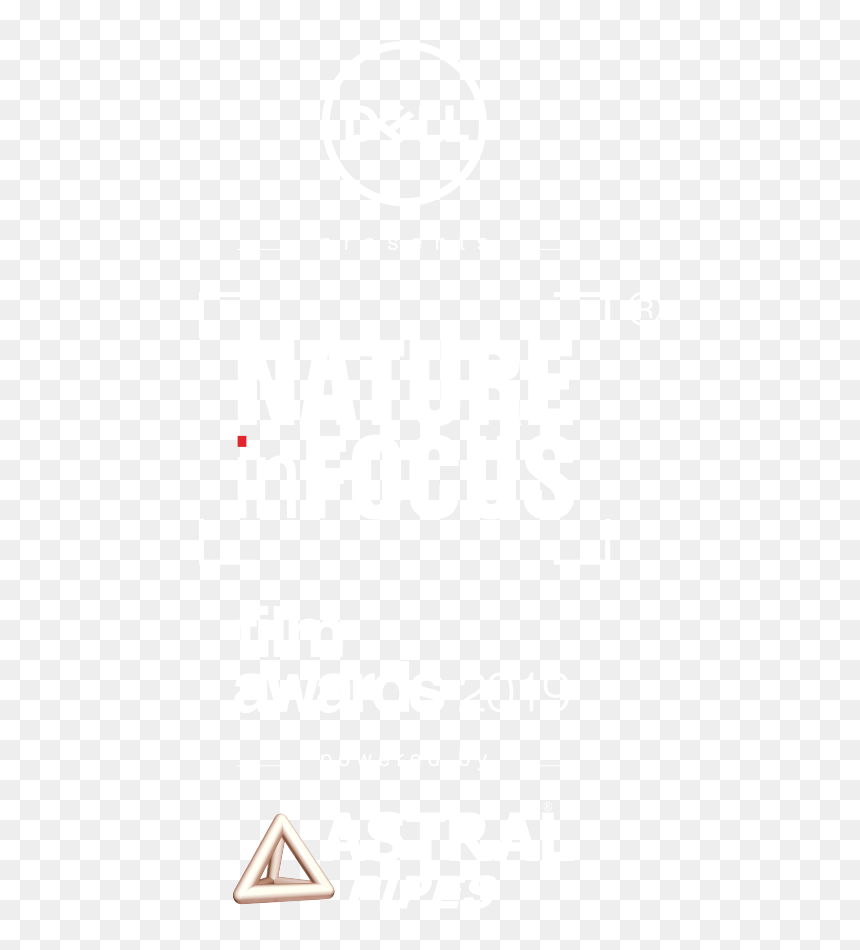 Astral Pipes, HD Png Download - filmfare trophy png
