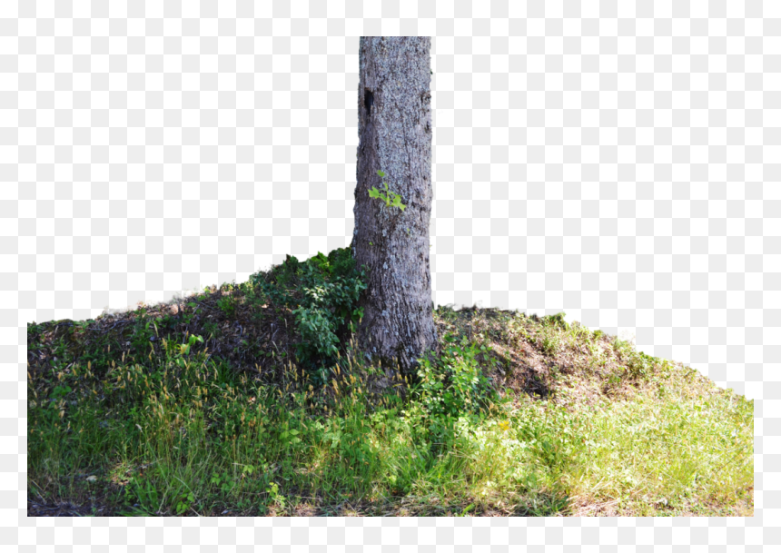 Grass, HD Png Download - flowers tree png