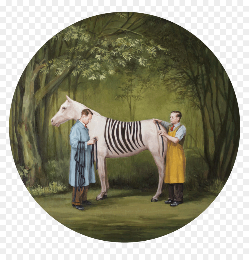Art Of Human Behaviour, HD Png Download - png files people