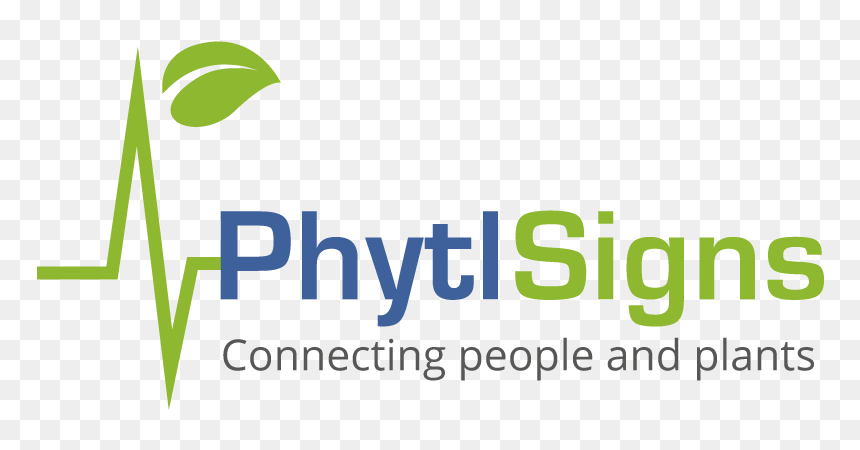 Graphic Design, HD Png Download - png files people