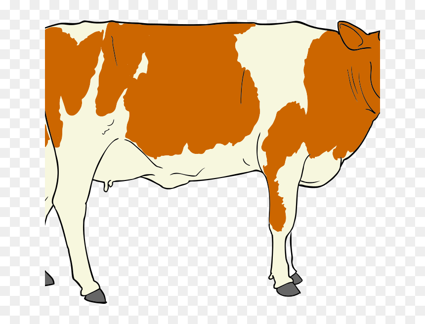 Beef Cow Cattle Clip Art, HD Png Download - cow images hd png