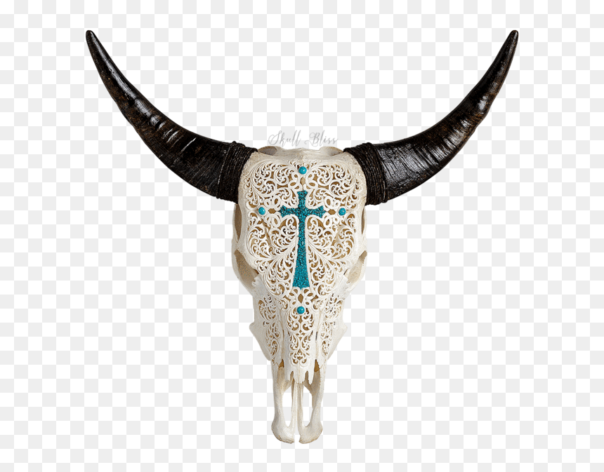 Skull, HD Png Download - cow images hd png