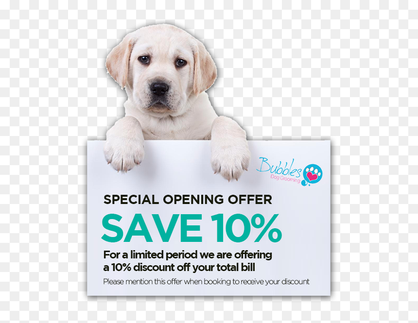 Flyer, HD Png Download - limited period offer png