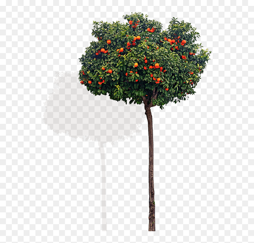 Png Images Tree 1080p, Transparent Png - chair front view png