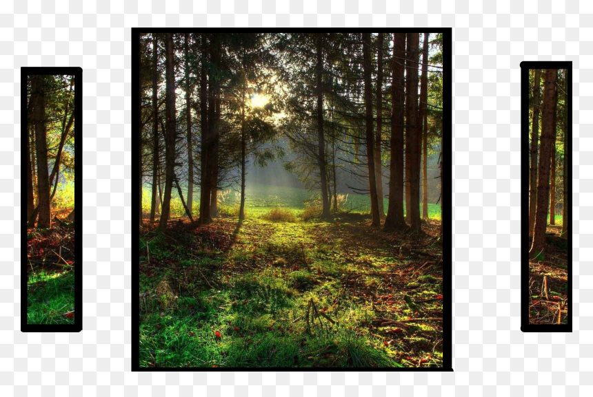Landscape Oil Painting Nature, HD Png Download - nature png hd