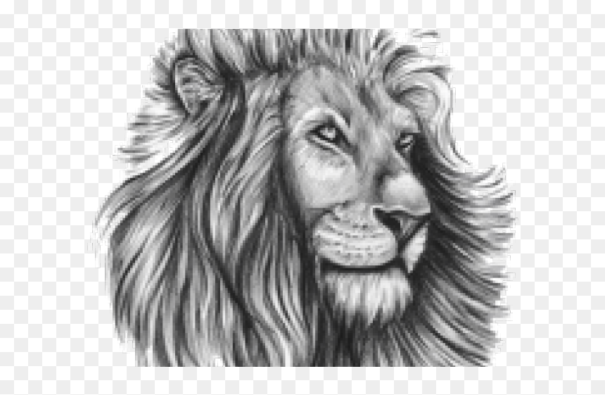 Tattoo Design Transparent Lion, HD Png Download - lion tattoo png