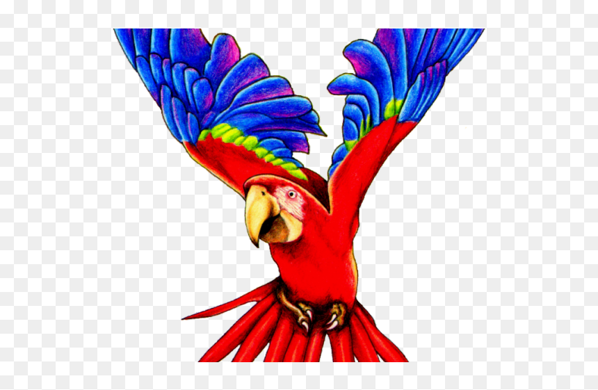 Flying Parrot Clipart, HD Png Download - parrot clipart png