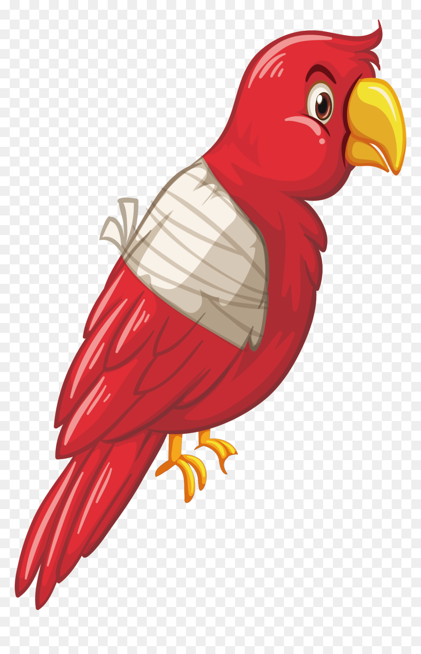 Parrot Clipart, HD Png Download - parrot clipart png