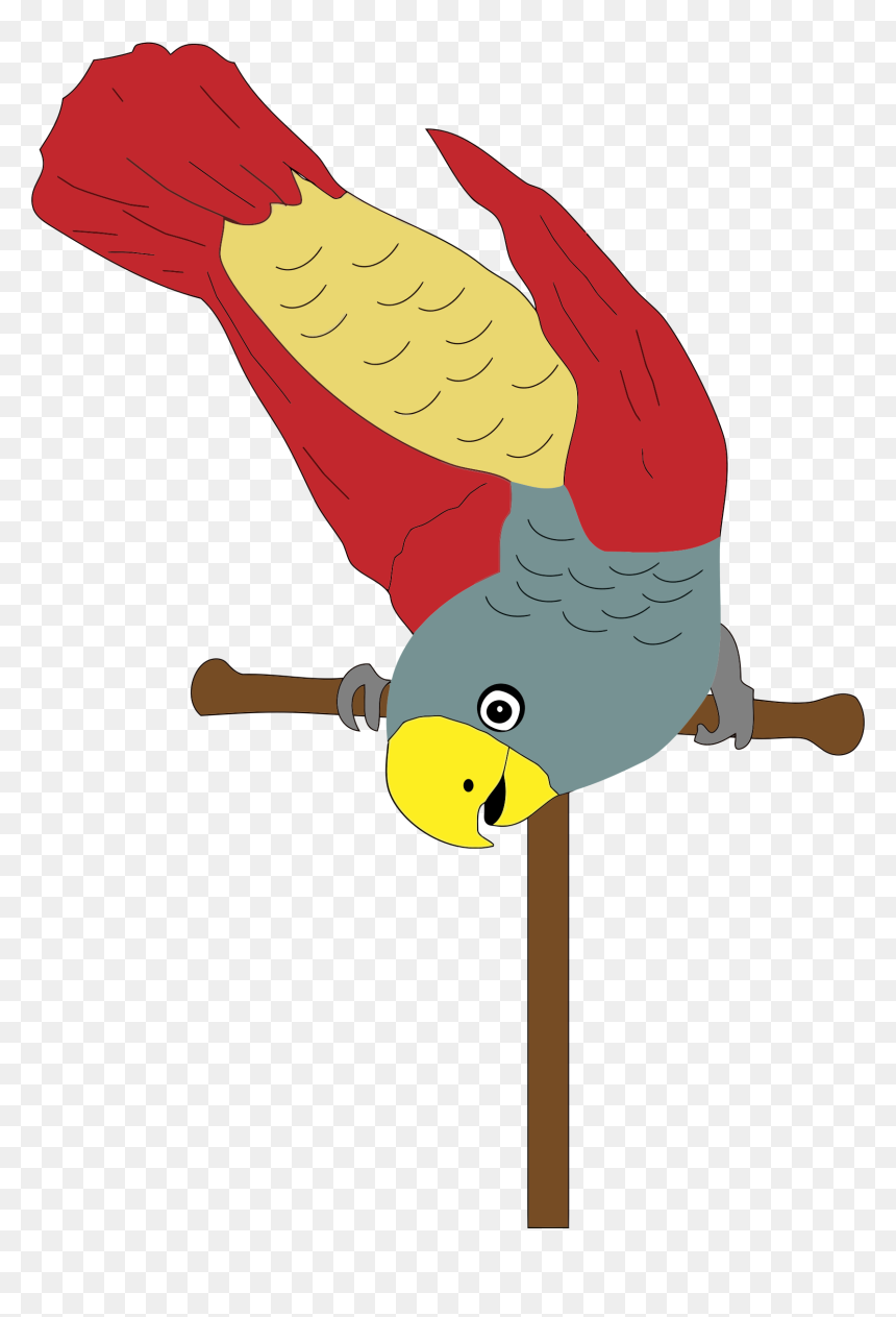 Bird Perch Clip Art, HD Png Download - parrot clipart png