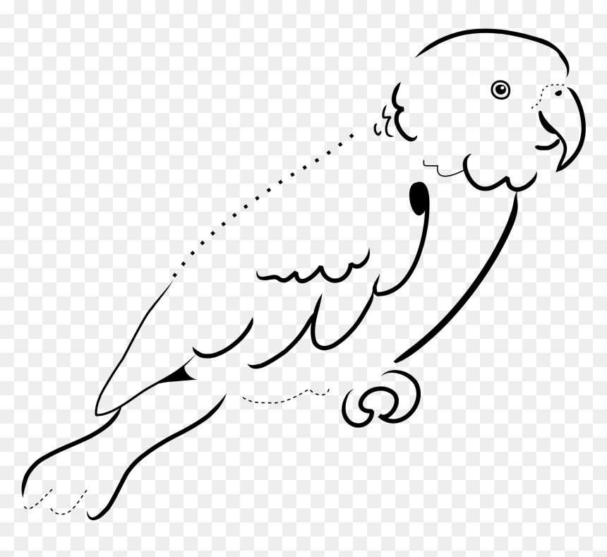 Parrot Black And White, HD Png Download - parrot clipart png