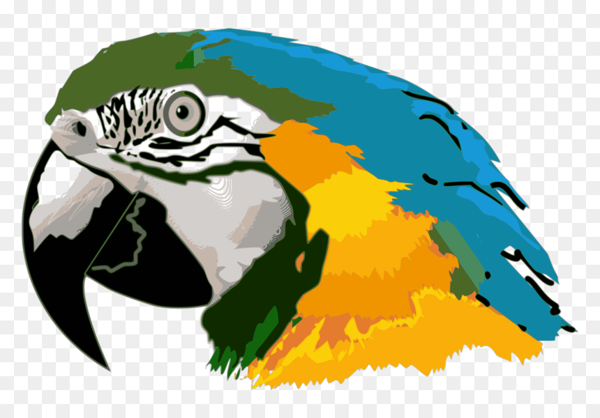 Parrot Head Clip Art, HD Png Download - parrot clipart png
