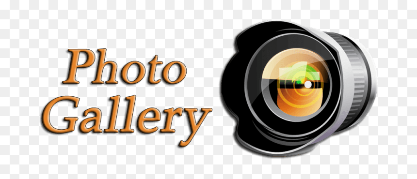 Gallery, HD Png Download - saraswati photo png