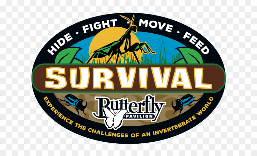 Survivor China, HD Png Download - survival png