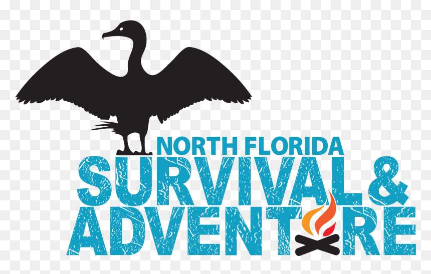 Water Bird, HD Png Download - survival png