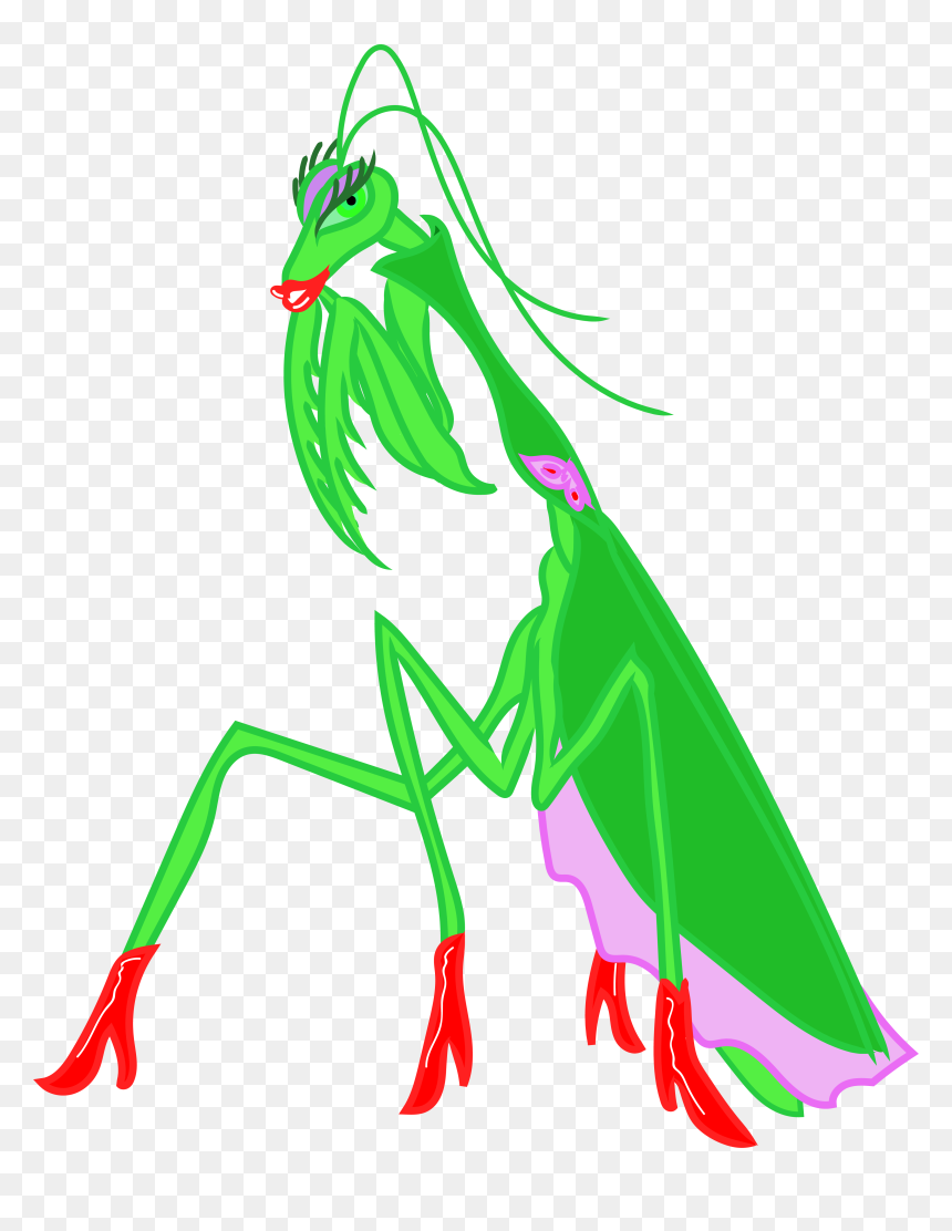 Illustration, HD Png Download - praying mantis png